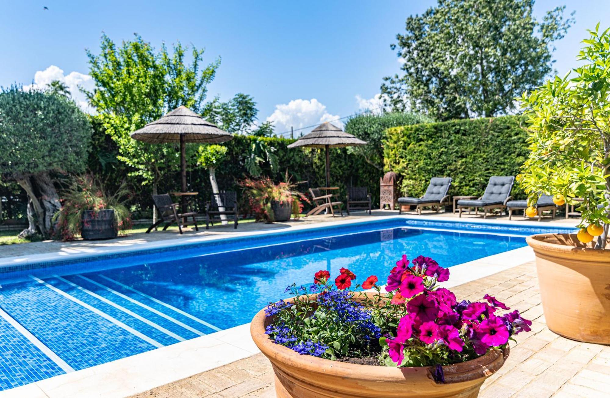 B&B Casa Adelante Sevilla Espartinas Eksteriør billede